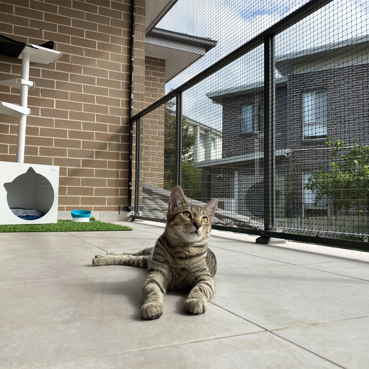 Cat Netting - Premium Stainless Steel Reinforced – Catnets UK