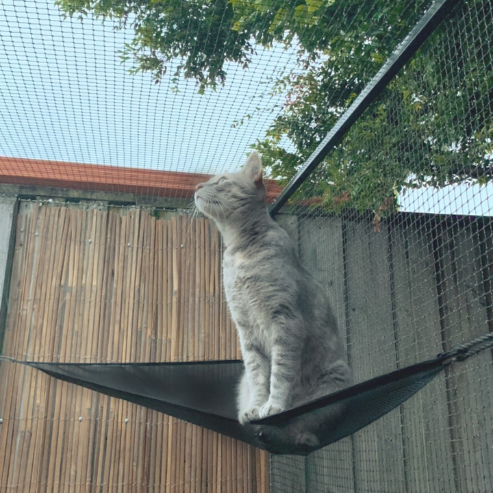 Cat Netting - Premium Stainless Steel Reinforced – Catnets UK