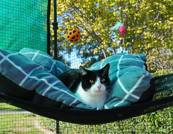 Catnets Premium Portable Enclosure Premium Portable Catio 5’10”